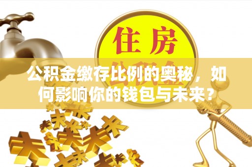 沙县公积金缴存比例的奥秘，如何影响你的钱包与未来？