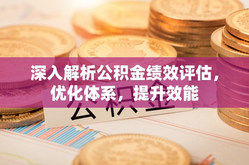沙县深入解析公积金绩效评估，优化体系，提升效能