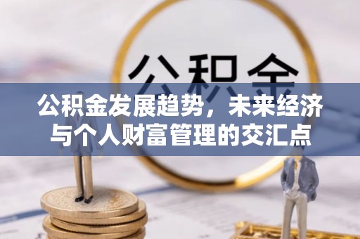 沙县公积金发展趋势，未来经济与个人财富管理的交汇点