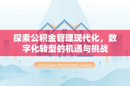 沙县探索公积金管理现代化，数字化转型的机遇与挑战