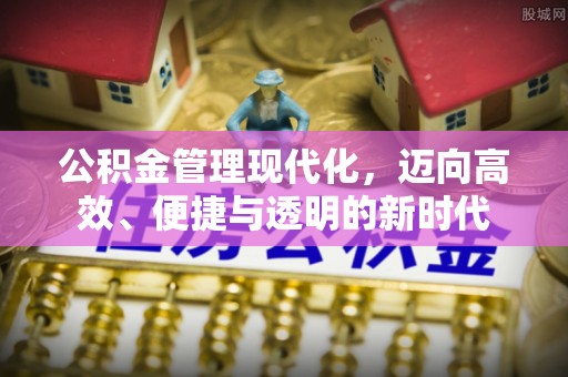 沙县公积金管理现代化，迈向高效、便捷与透明的新时代