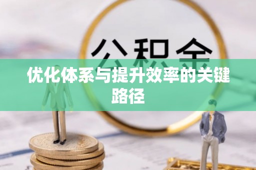 沙县优化体系与提升效率的关键路径