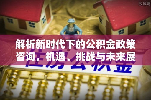 沙县解析新时代下的公积金政策咨询，机遇、挑战与未来展望