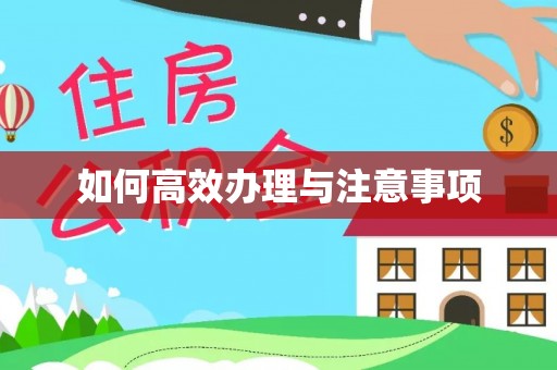 沙县如何高效办理与注意事项