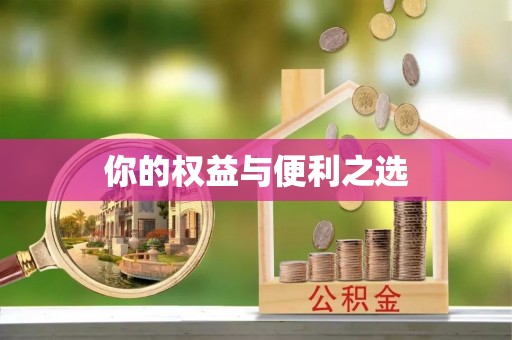 沙县你的权益与便利之选