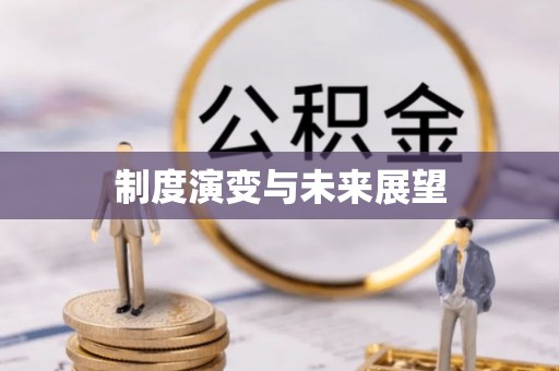 沙县制度演变与未来展望