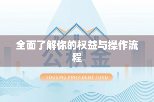 沙县全面了解你的权益与操作流程
