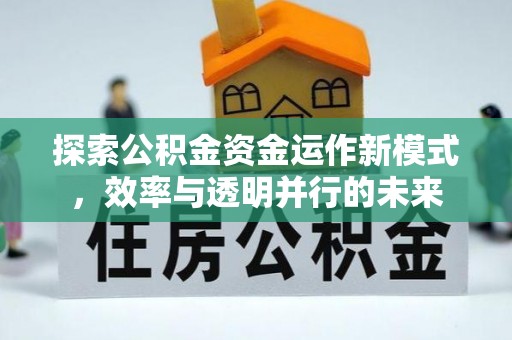 沙县探索公积金资金运作新模式，效率与透明并行的未来