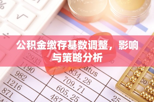 沙县公积金缴存基数调整，影响与策略分析