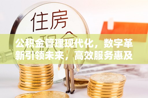 沙县公积金管理现代化，数字革新引领未来，高效服务惠及民生
