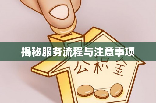 沙县揭秘服务流程与注意事项