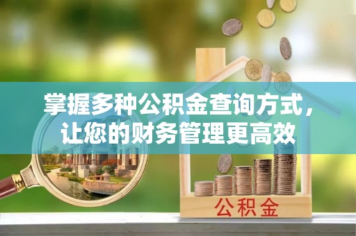 沙县掌握多种公积金查询方式，让您的财务管理更高效