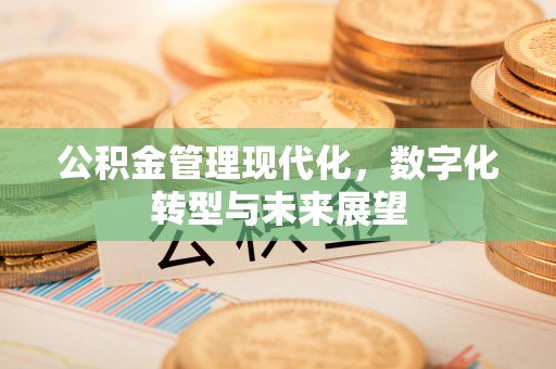 沙县公积金管理现代化，数字化转型与未来展望