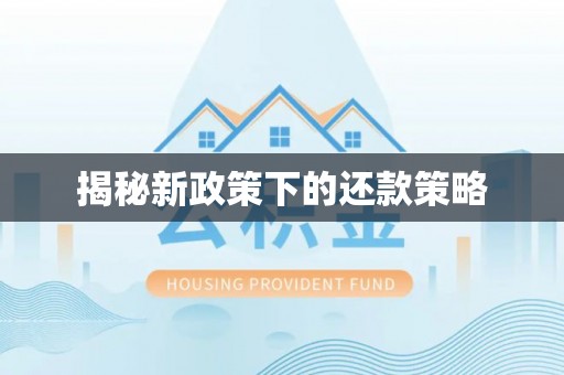 沙县揭秘新政策下的还款策略