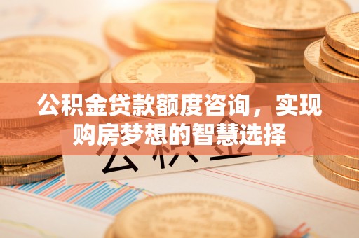 沙县公积金贷款额度咨询，实现购房梦想的智慧选择