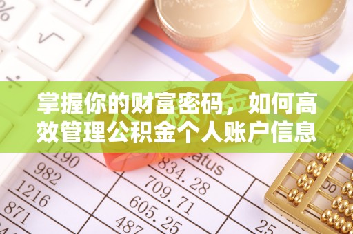 沙县掌握你的财富密码，如何高效管理公积金个人账户信息