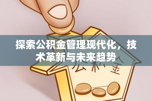 沙县探索公积金管理现代化，技术革新与未来趋势