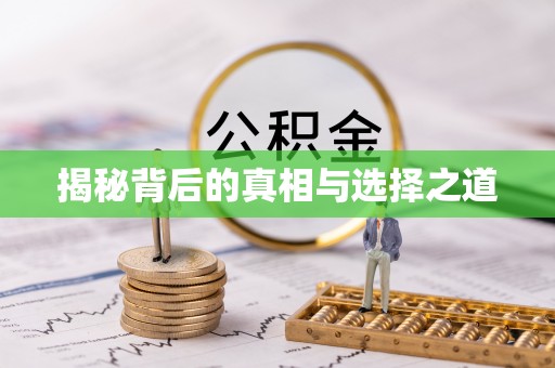 沙县揭秘背后的真相与选择之道