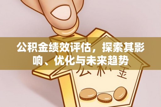沙县公积金绩效评估，探索其影响、优化与未来趋势