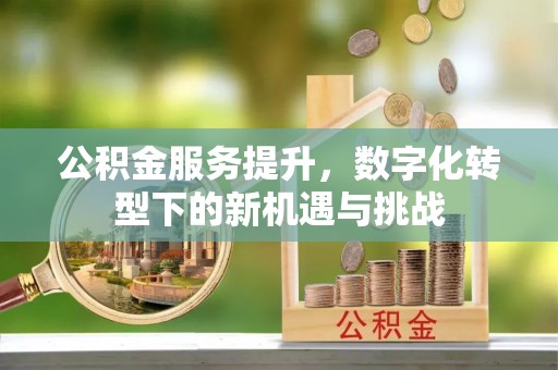 沙县公积金服务提升，数字化转型下的新机遇与挑战
