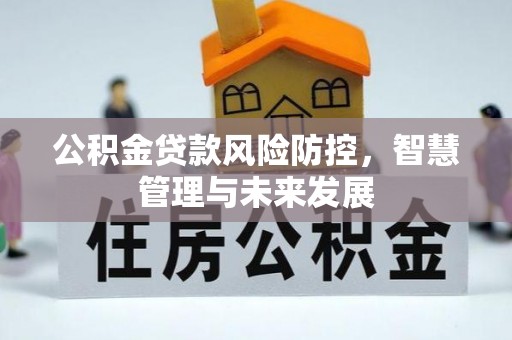 沙县公积金贷款风险防控，智慧管理与未来发展