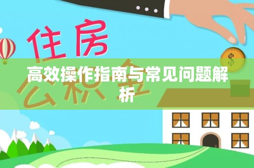 沙县高效操作指南与常见问题解析