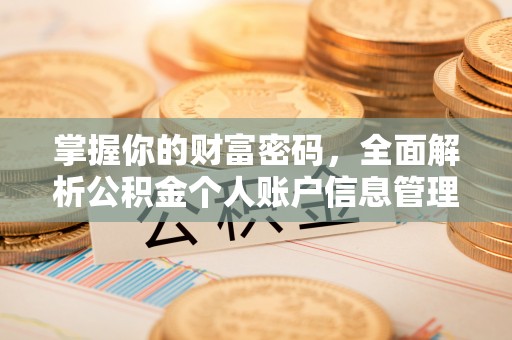 沙县掌握你的财富密码，全面解析公积金个人账户信息管理与优化