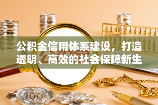 沙县公积金信用体系建设，打造透明、高效的社会保障新生态