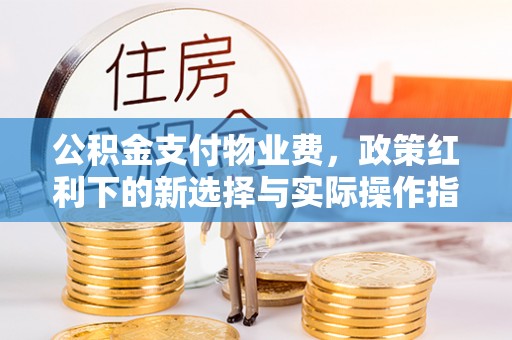 沙县公积金支付物业费，政策红利下的新选择与实际操作指南