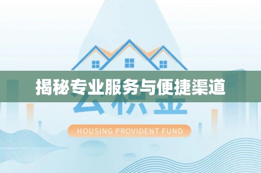 沙县揭秘专业服务与便捷渠道