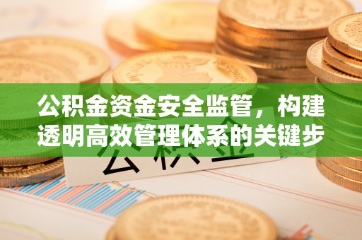 沙县公积金资金安全监管，构建透明高效管理体系的关键步骤