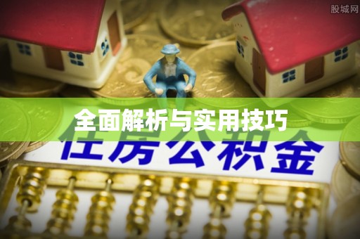 沙县全面解析与实用技巧