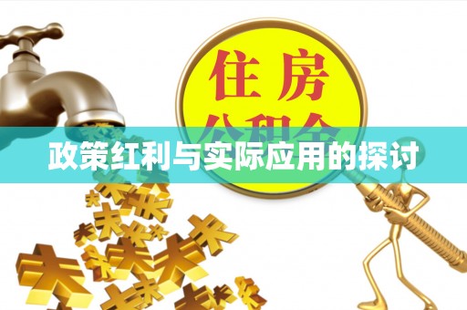 沙县政策红利与实际应用的探讨