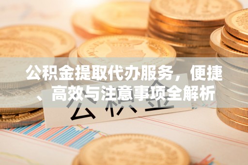 沙县公积金提取代办服务，便捷、高效与注意事项全解析