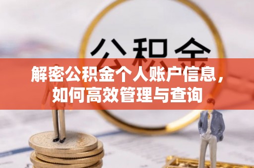 沙县解密公积金个人账户信息，如何高效管理与查询