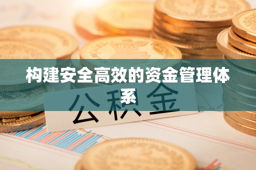 沙县构建安全高效的资金管理体系