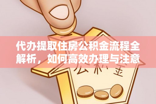沙县代办提取住房公积金流程全解析，如何高效办理与注意事项