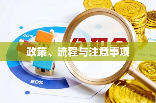 沙县政策、流程与注意事项
