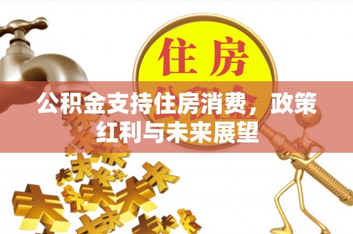 沙县公积金支持住房消费，政策红利与未来展望