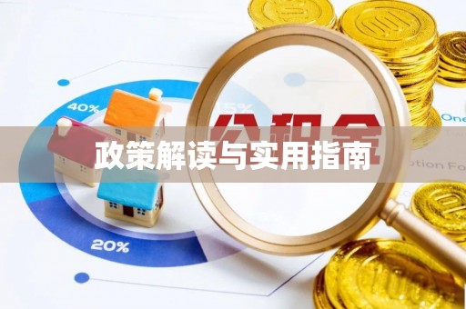 沙县政策解读与实用指南
