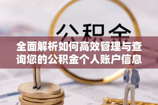 沙县全面解析如何高效管理与查询您的公积金个人账户信息