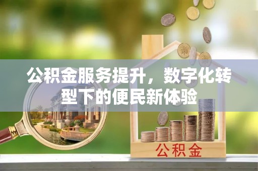 沙县公积金服务提升，数字化转型下的便民新体验