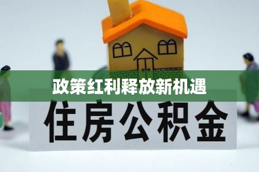 沙县政策红利释放新机遇