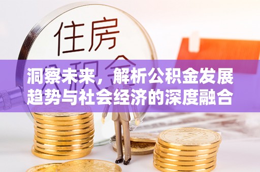 沙县洞察未来，解析公积金发展趋势与社会经济的深度融合