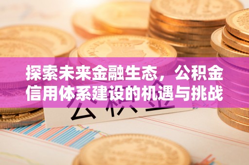 沙县探索未来金融生态，公积金信用体系建设的机遇与挑战