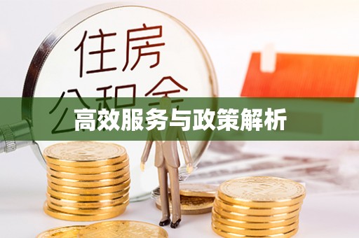 沙县高效服务与政策解析