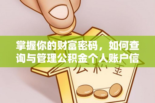 沙县掌握你的财富密码，如何查询与管理公积金个人账户信息