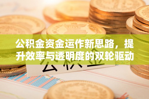 沙县公积金资金运作新思路，提升效率与透明度的双轮驱动