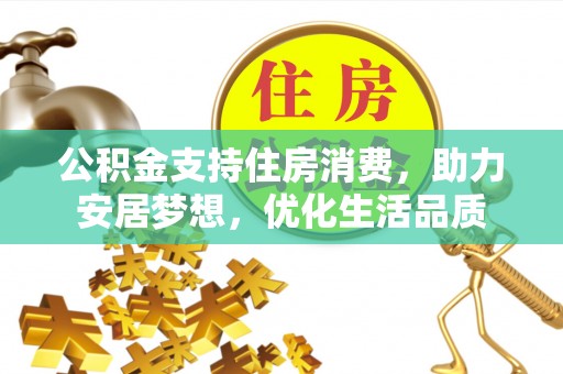 沙县公积金支持住房消费，助力安居梦想，优化生活品质