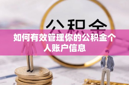 沙县如何有效管理你的公积金个人账户信息